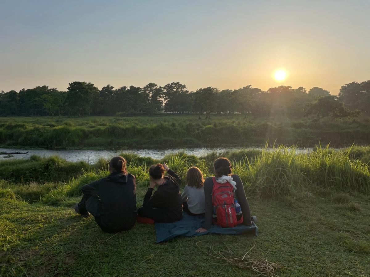 Hotel Tree Tops- A Serene Friendly Hotel In Sauraha Chitwan Extérieur photo