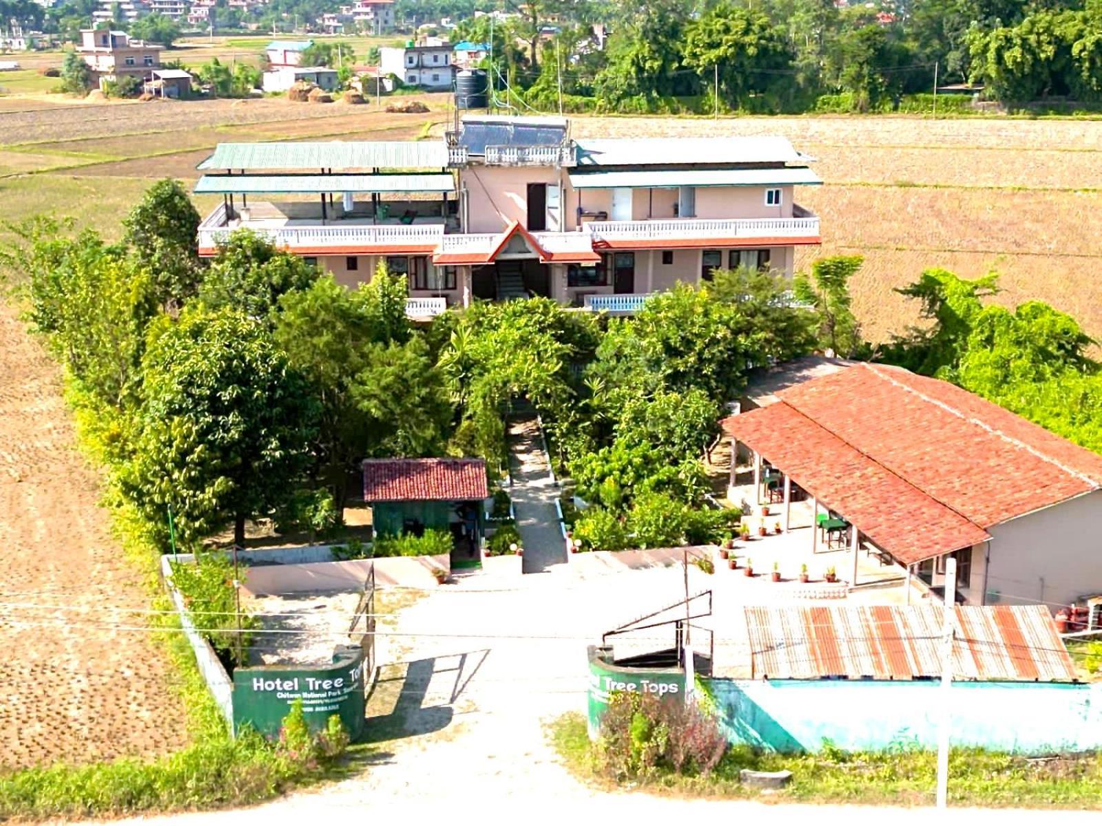 Hotel Tree Tops- A Serene Friendly Hotel In Sauraha Chitwan Extérieur photo