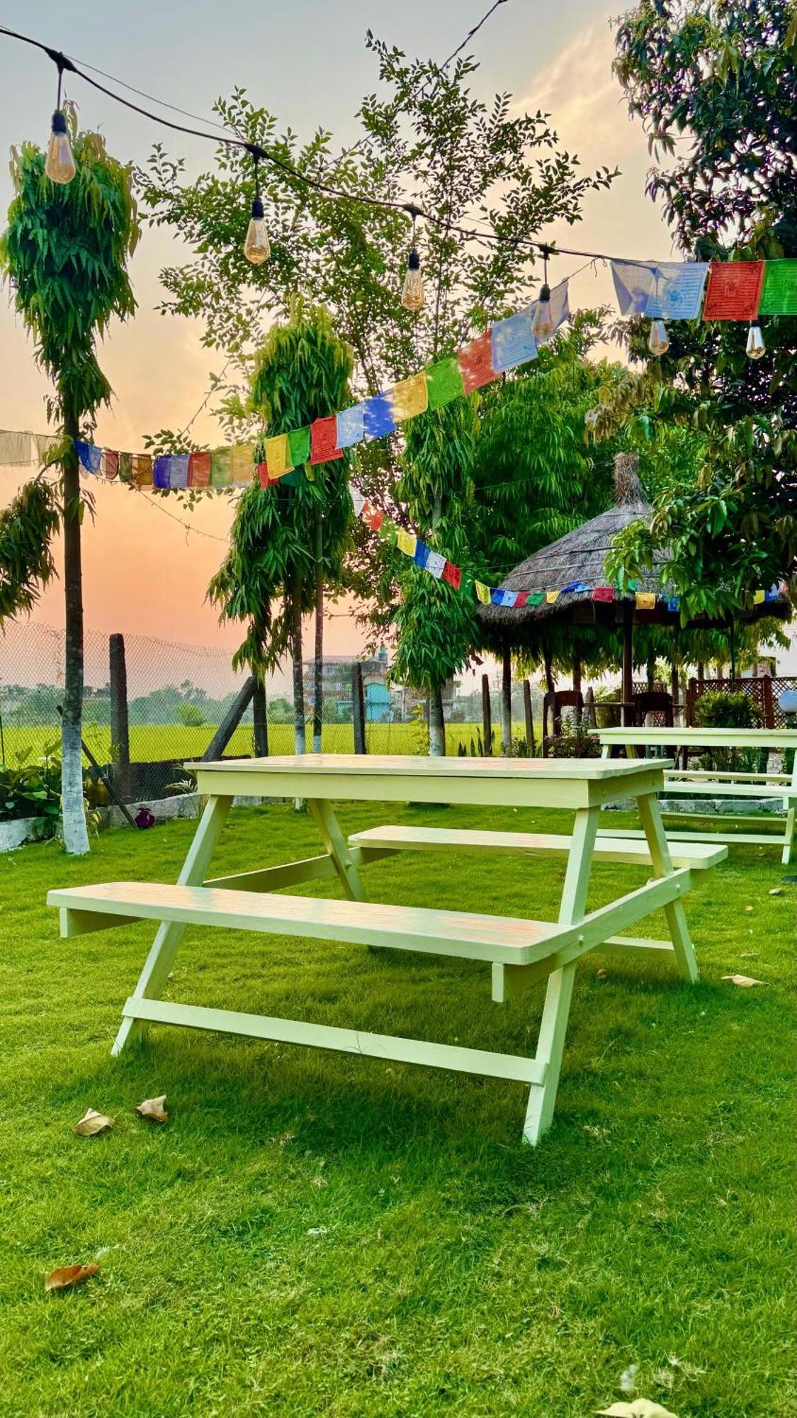 Hotel Tree Tops- A Serene Friendly Hotel In Sauraha Chitwan Extérieur photo